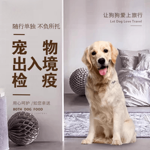 泰安市宠物托运到哥伦比亚猫狗宠物入境规定和