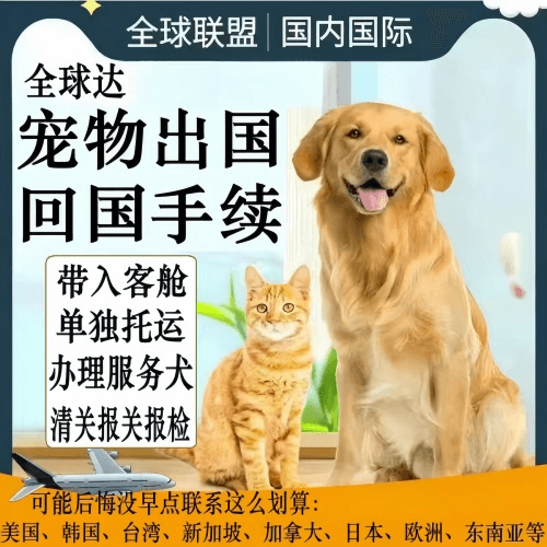 泰安市宠物托运到柬埔寨宠物入境规定和要求
