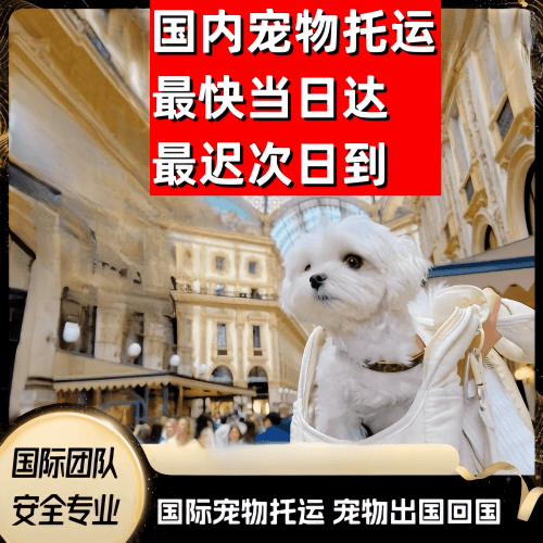 泰安市到澳大利亚（澳洲）宠物入境规定和要求