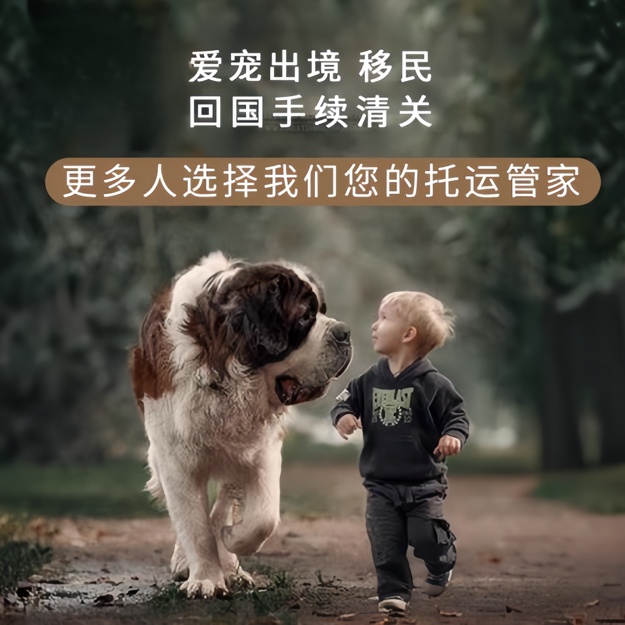 满财泰安市宠物全球达宠物托运在遵守入境目的地政策的条件