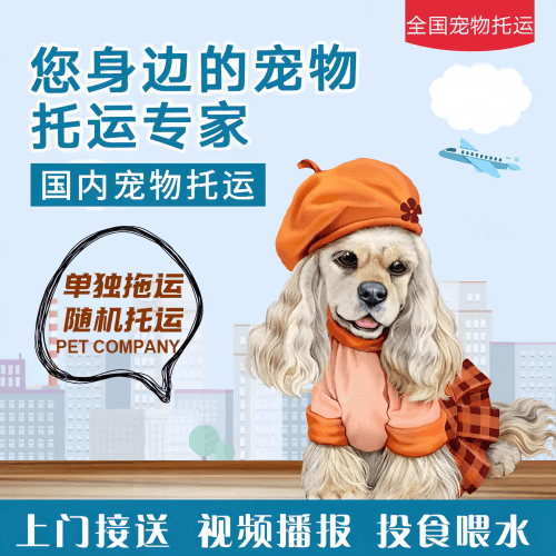 满财泰安市宠物全球达宠物托运作为专业的宠物运输代理机构
